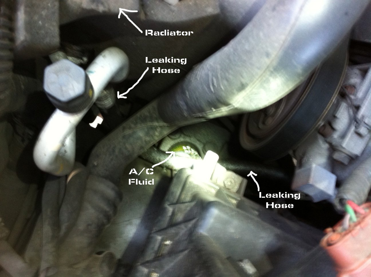 2002 Nissan frontier anti freeze leak #6